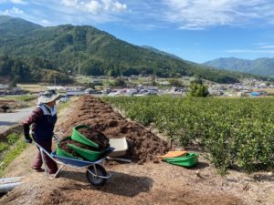 鱒渕茶園　堆肥