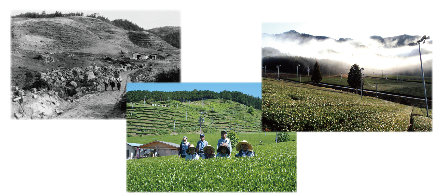 白川町黒川鱒渕