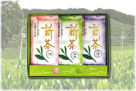 ますぶち園美濃白川新茶３本詰め合わせ