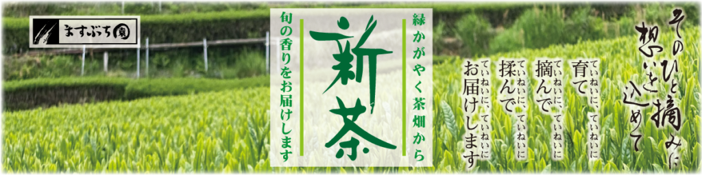 美濃白川新茶のご予約承り中