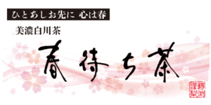 ますぶち園の春待ち茶