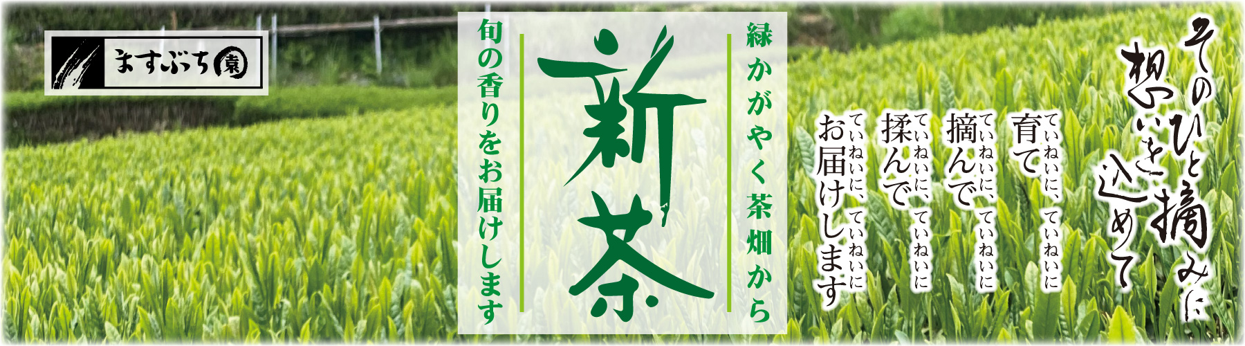 ますぶち園新茶予約