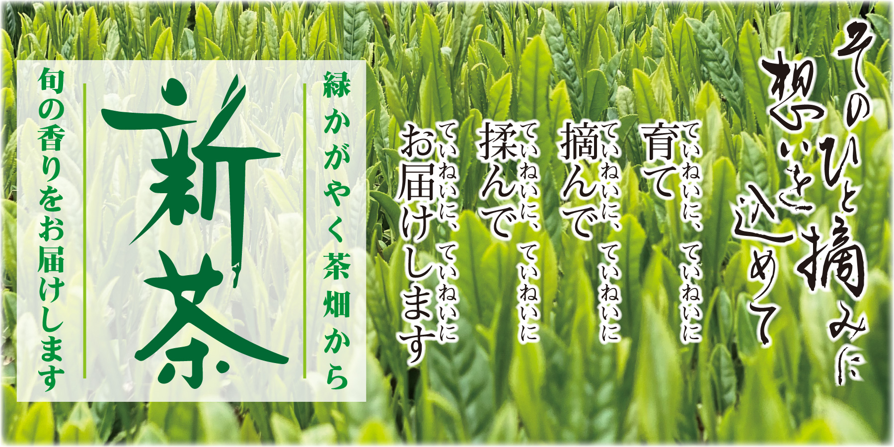 ますぶち園新茶予約（携帯版）