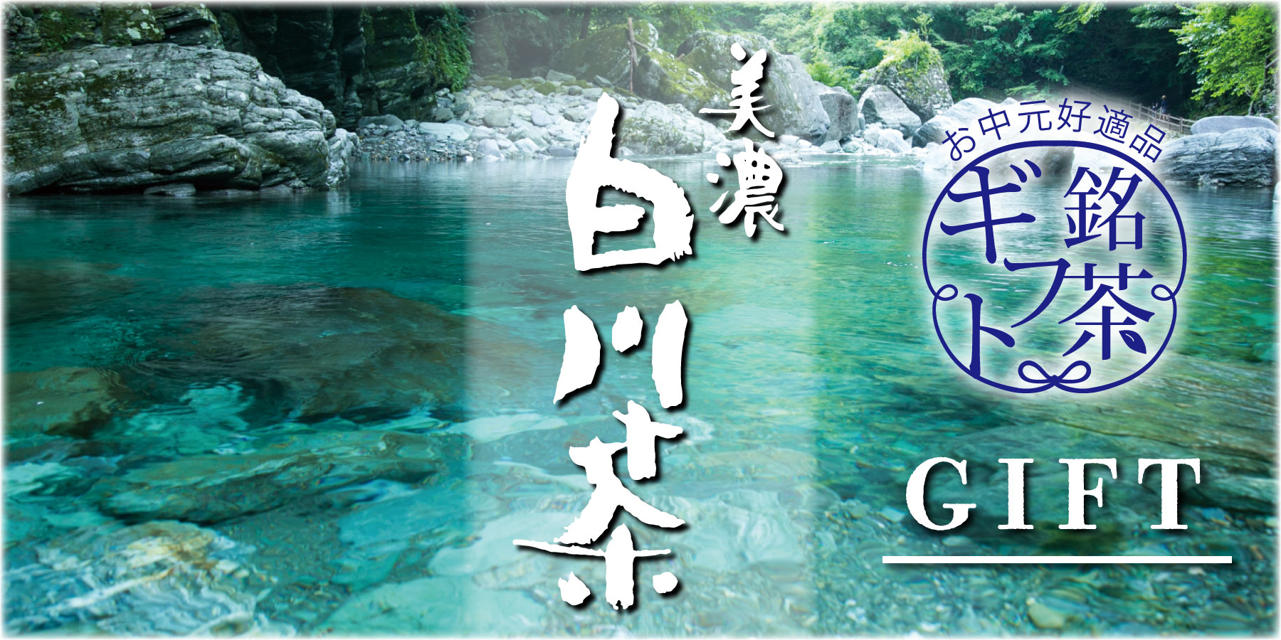 美濃白川茶のお中元ギフト