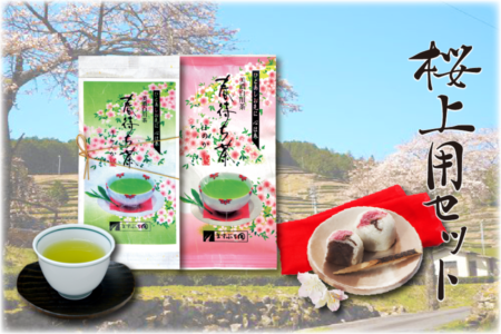 ますぶち園の春のお茶と桜上用セット