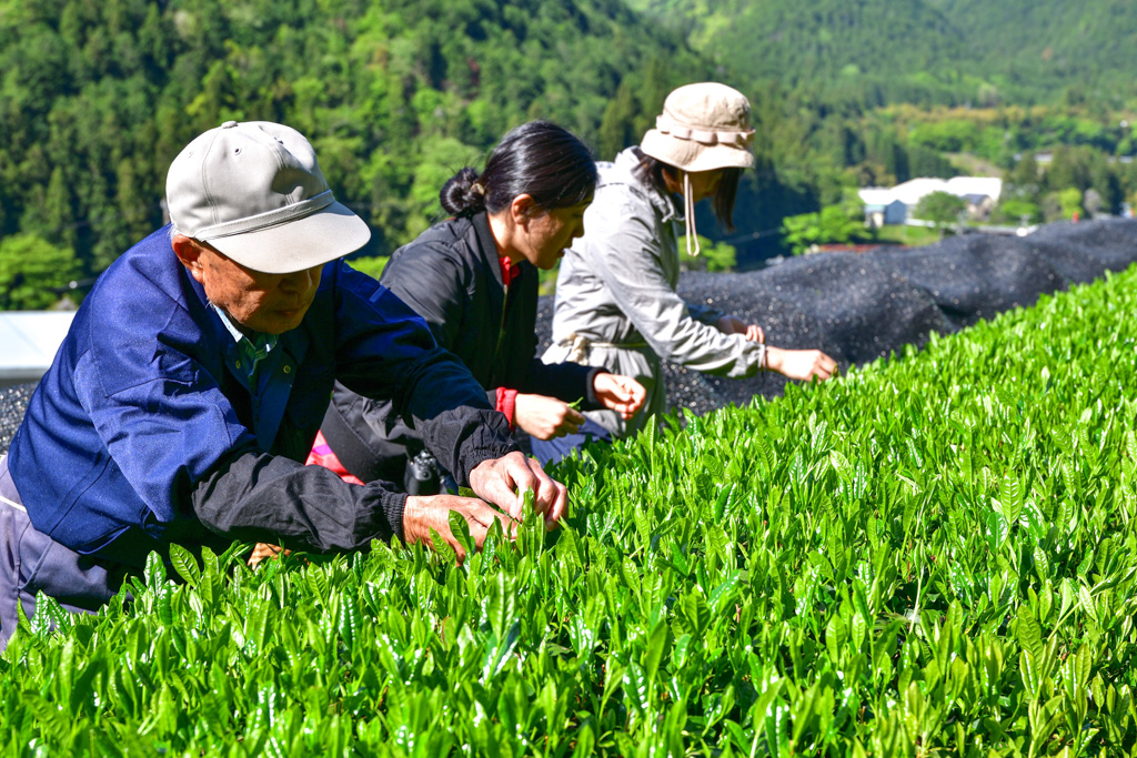 岐阜県白川町