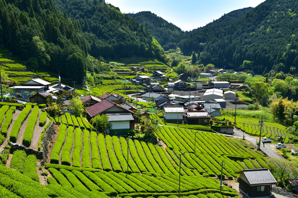 岐阜県白川町