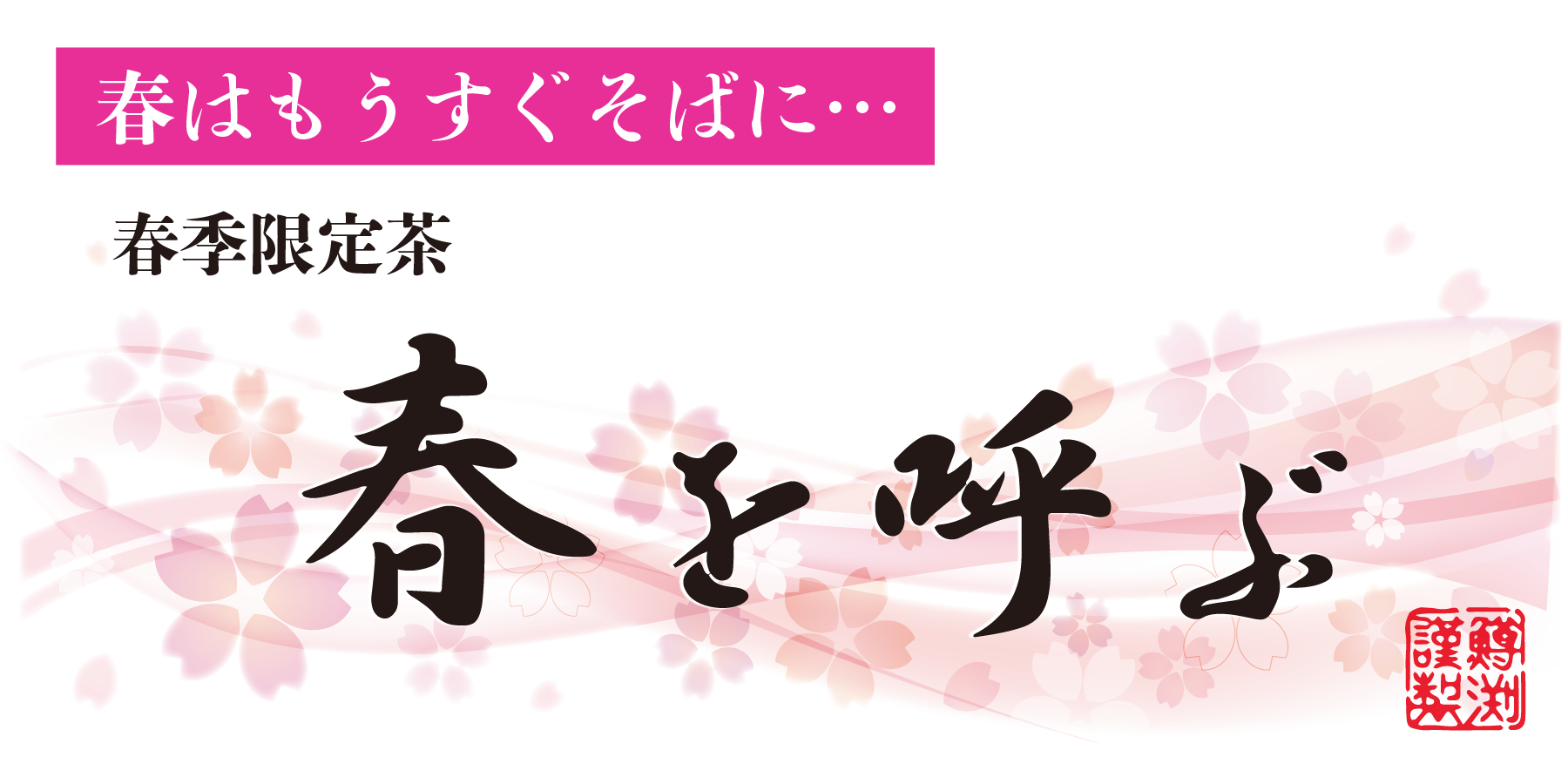 ますぶち園の春待ち茶