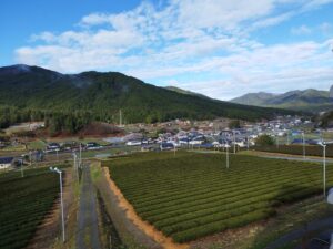 雨がたっぷり降りました！